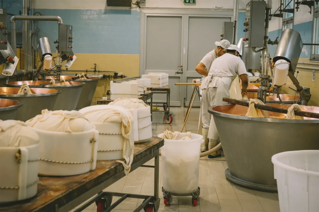 Walk behind auto scrubber for food processing plants and clean floor areas