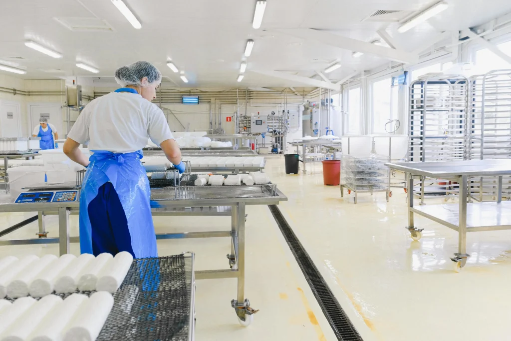 Ride on sweeper for food factory floors and large production areas