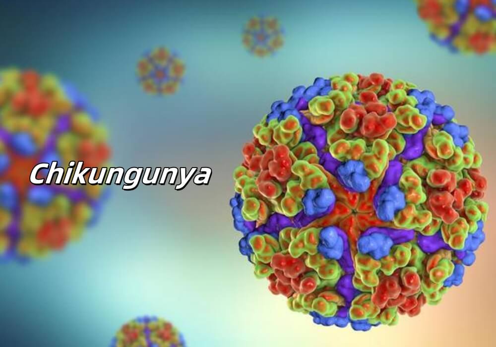 what is chikungunya