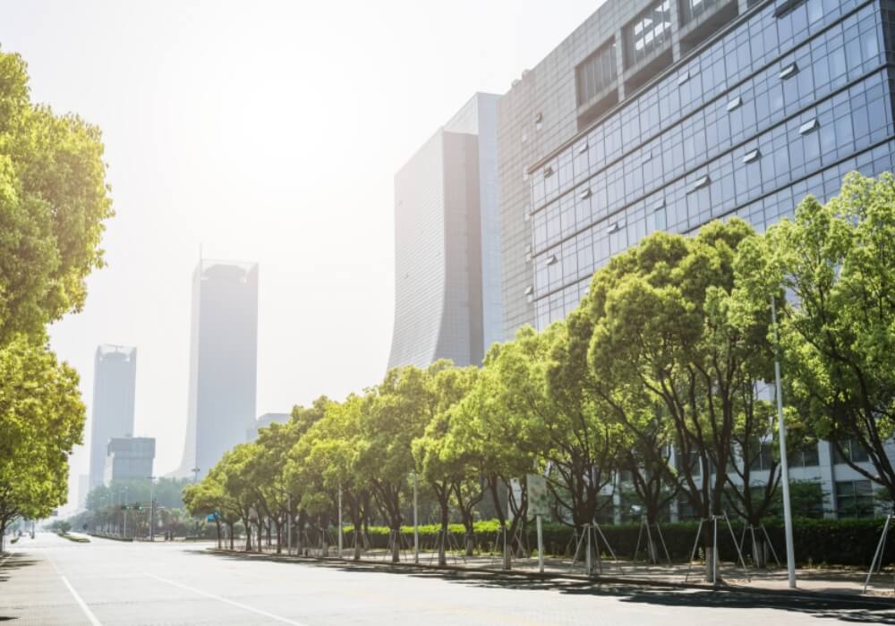 parque de oficinas